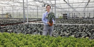 Kweker_met_plant