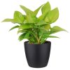 flora 5f588284de753