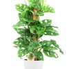 flora 5f5884f8bb01d