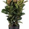 flora 5ef36e37d66c7