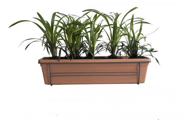 flora 60890bcc93951