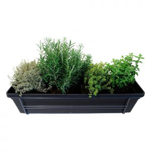 flora 624d6ee31e1e3