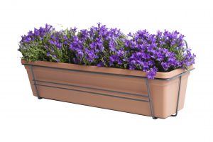 flora 624d7e3fbcce4