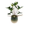 flora 62dd51b5a4efb