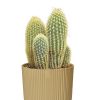 flora 634feec620980